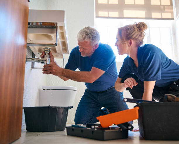 Trusted De Pue, IL Plumbing Experts